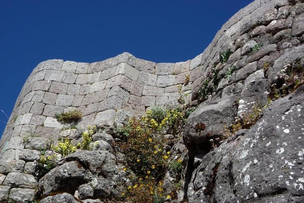 um muro de pedra com algumas plantas crescendo nele