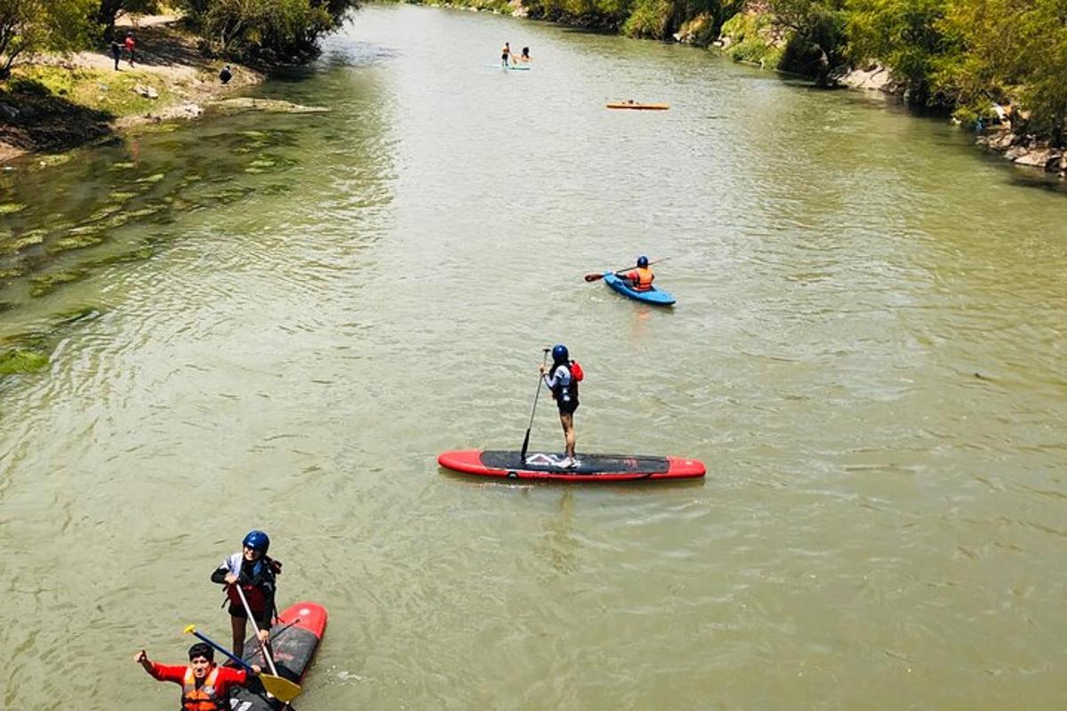 skupina lidí na paddleboardech na řece