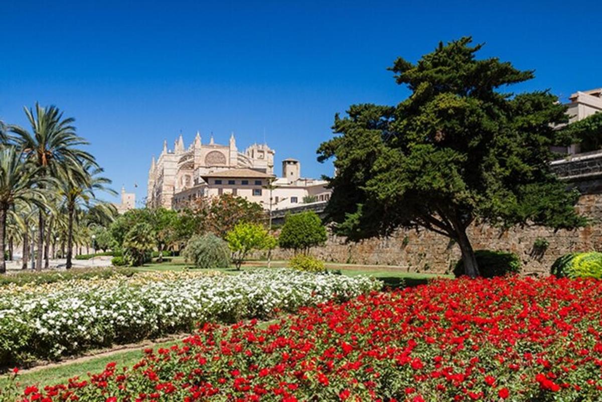 un giardino con fiori rossi e bianchi di fronte a un edificio