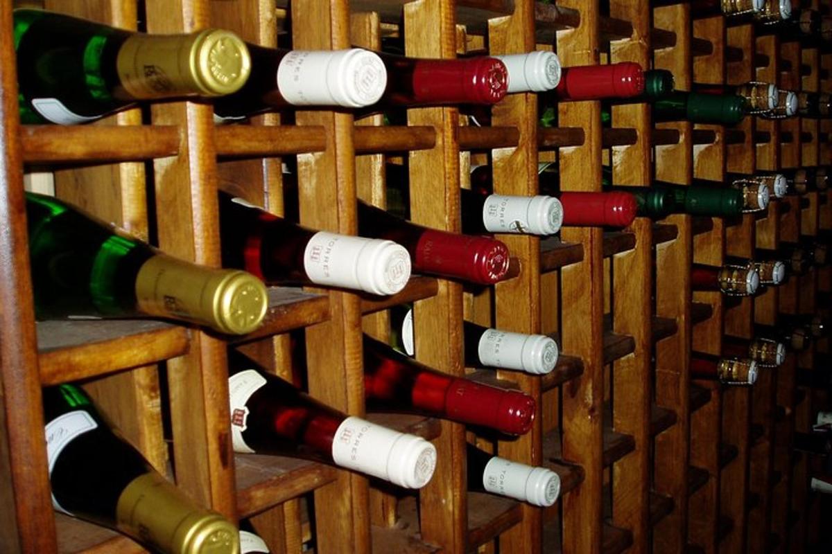 Un montón de botellas de vino en un botellero