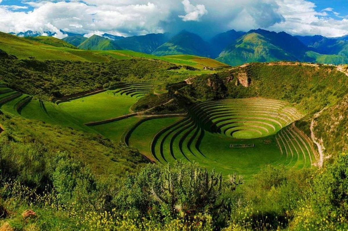 um grupo de campos em socalcos na encosta de uma montanha