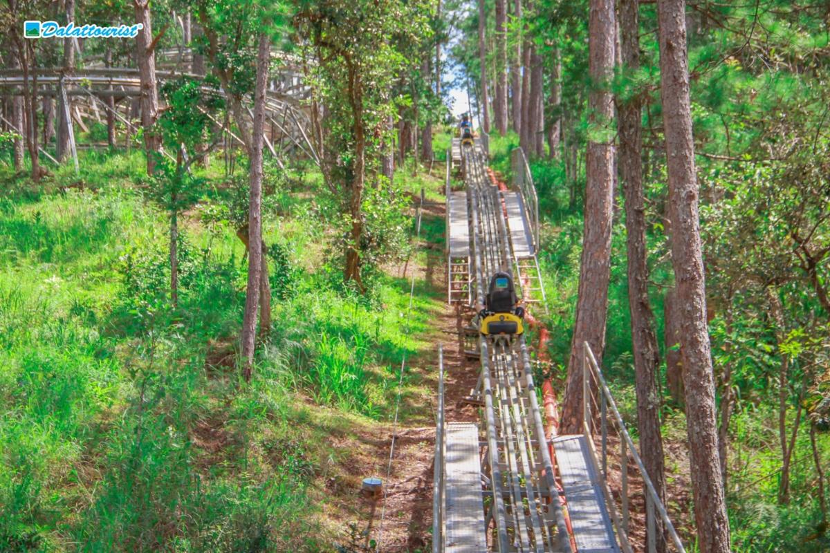 Fotografia da atração 3