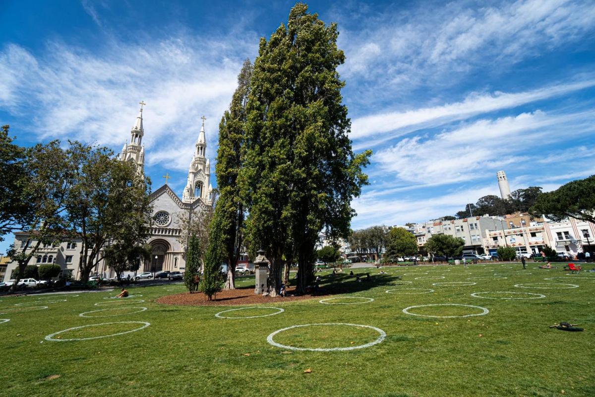 uma árvore em um campo em frente a uma igreja