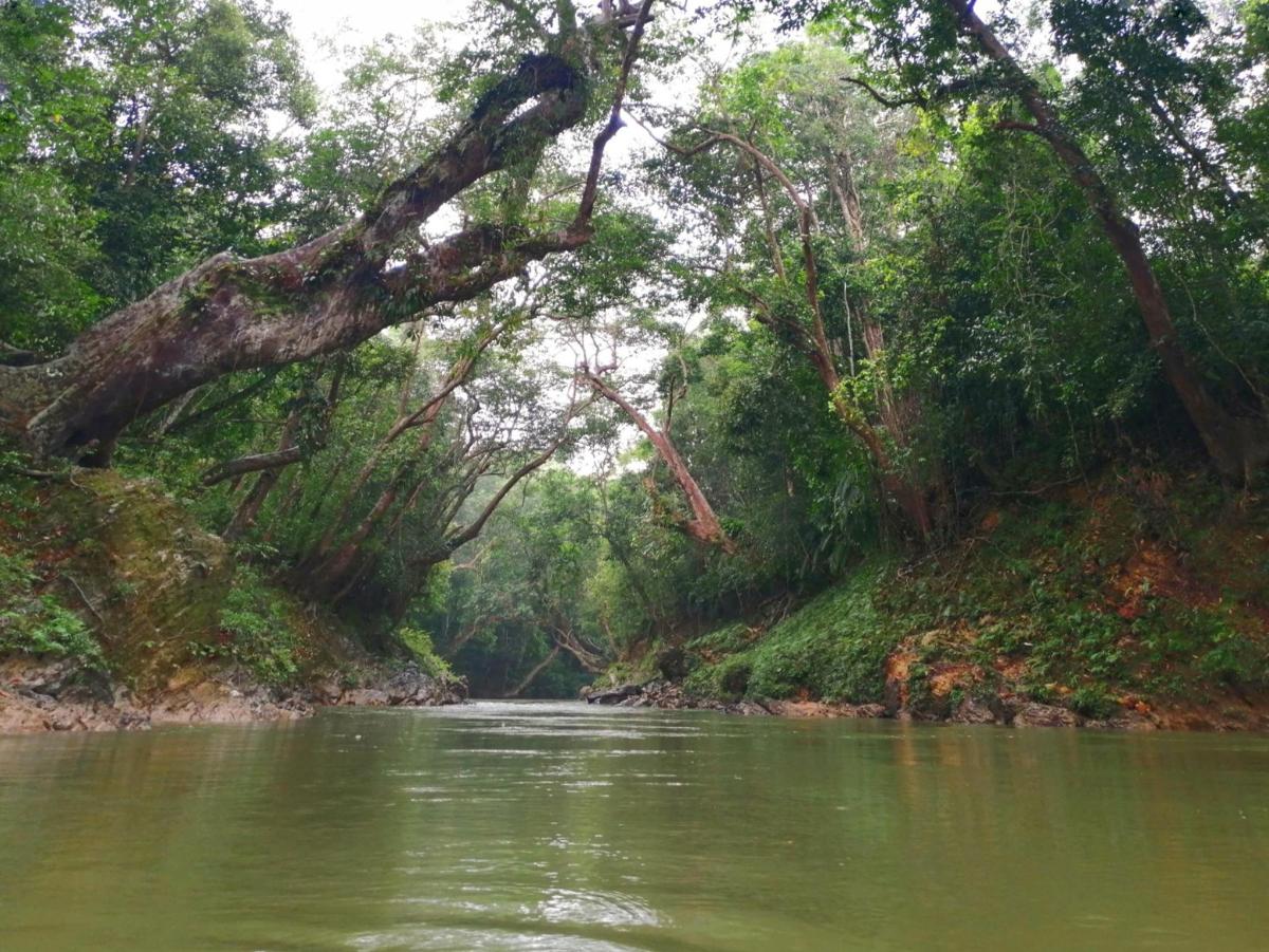 Fotografia da atração 3