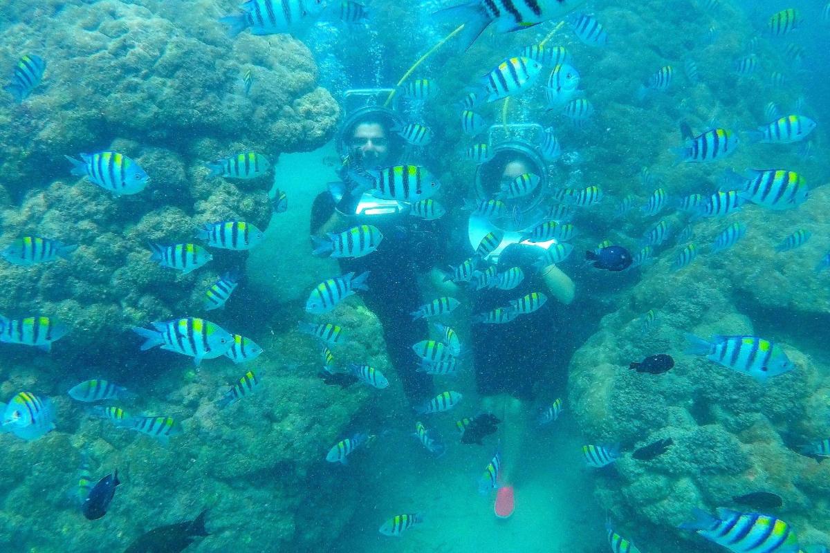 a man in the water with a school of fish