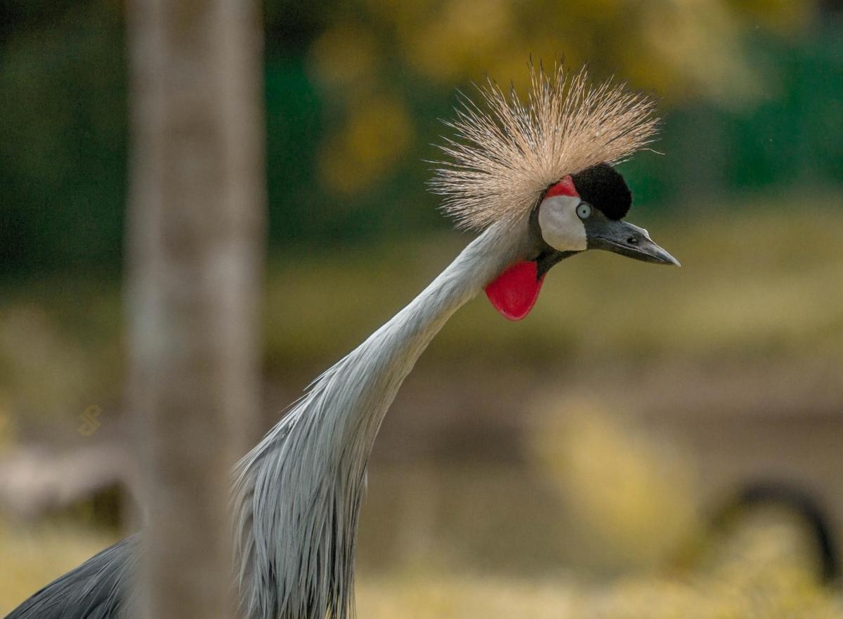 Fotografie atrakce č. 3