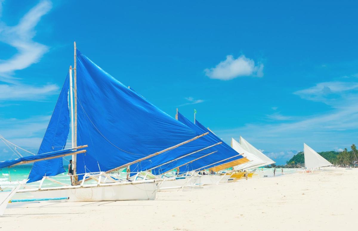 a group of boats sitting on the beach