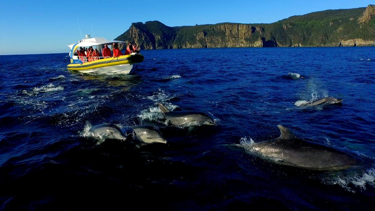 Lankytinos vietos ar pramogos nuotrauka numeris 1