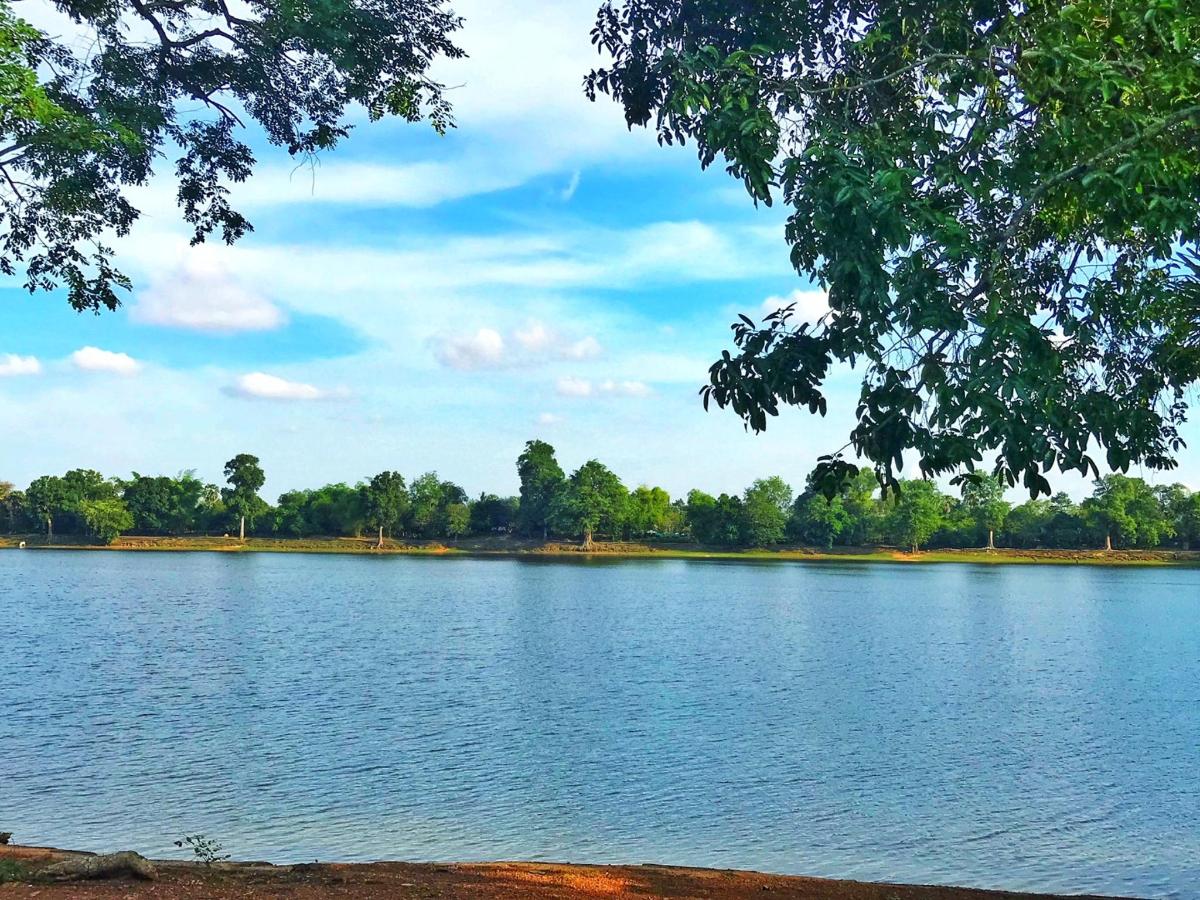 pogled na jezero s drvećem u pozadini