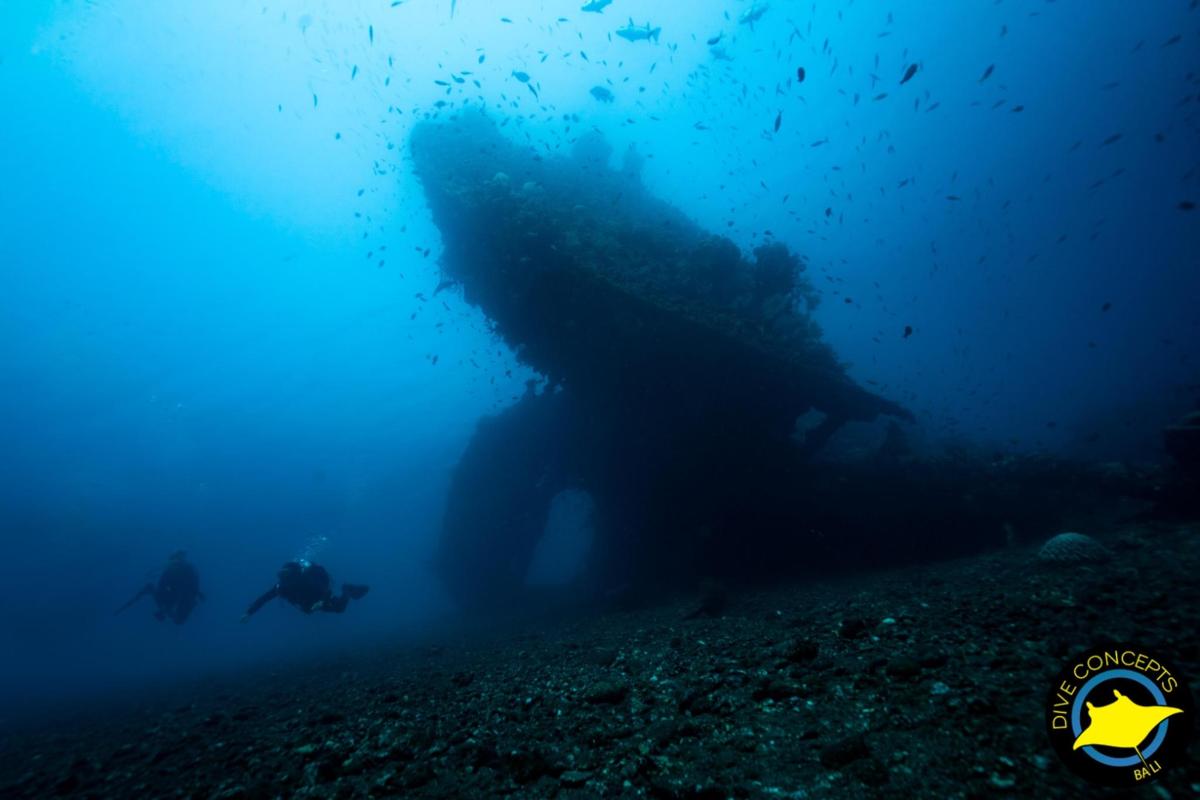 Lankytinos vietos ar pramogos nuotrauka numeris 3