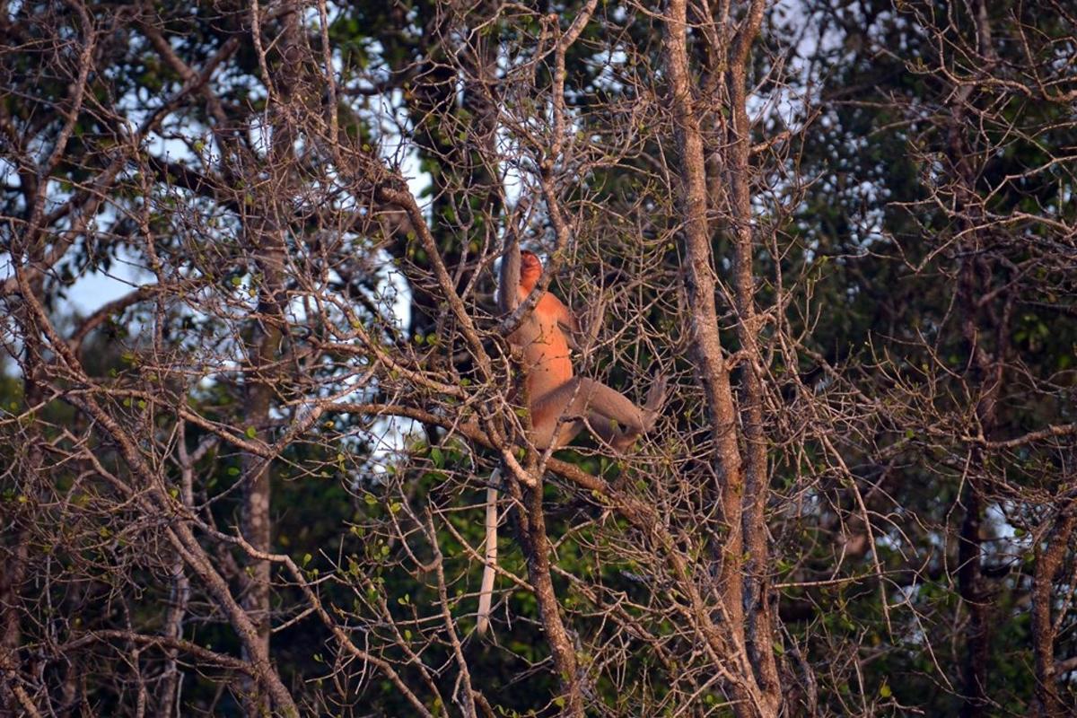 Fotografia da atração 4