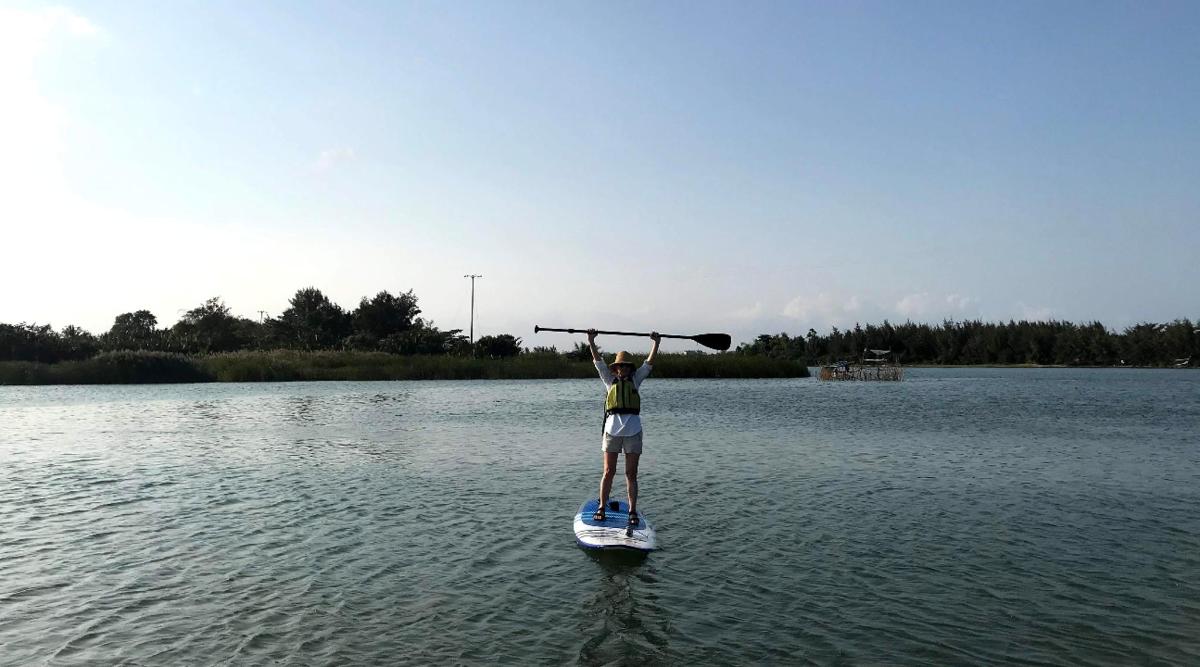 a person on a paddle board in the water