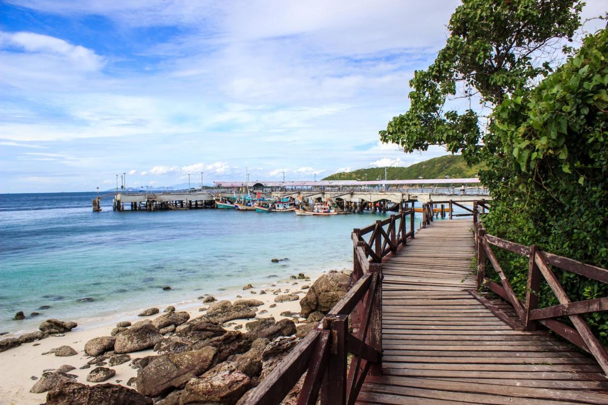 a wooden pathway to a beach with a pier