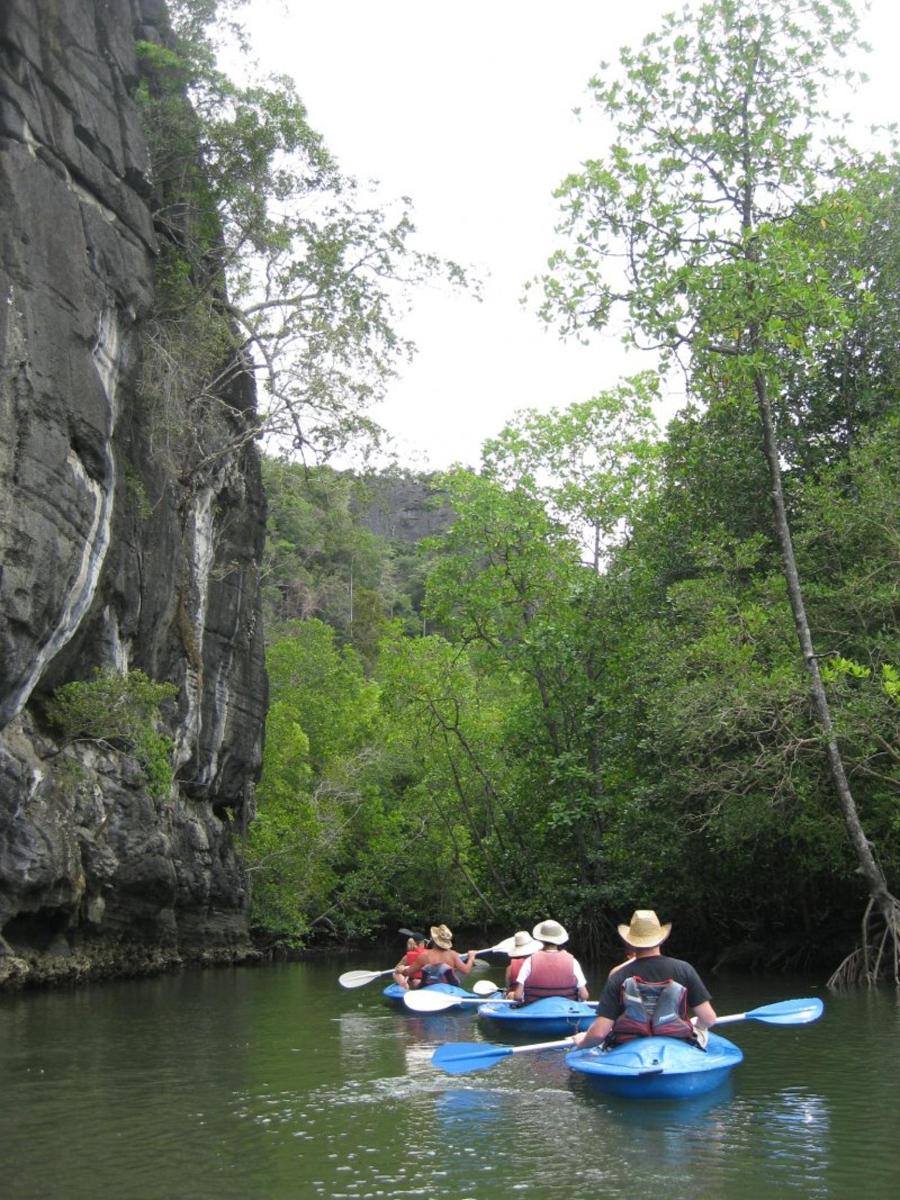 Un grupo de personas está navegando en kayak por un río.