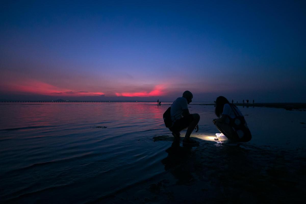 a couple of people standing on the beach with surfboards
