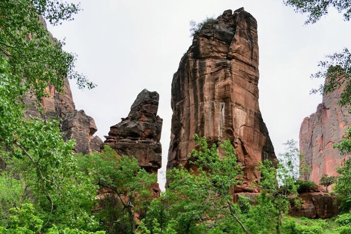 Fotografia 4 a atracției
