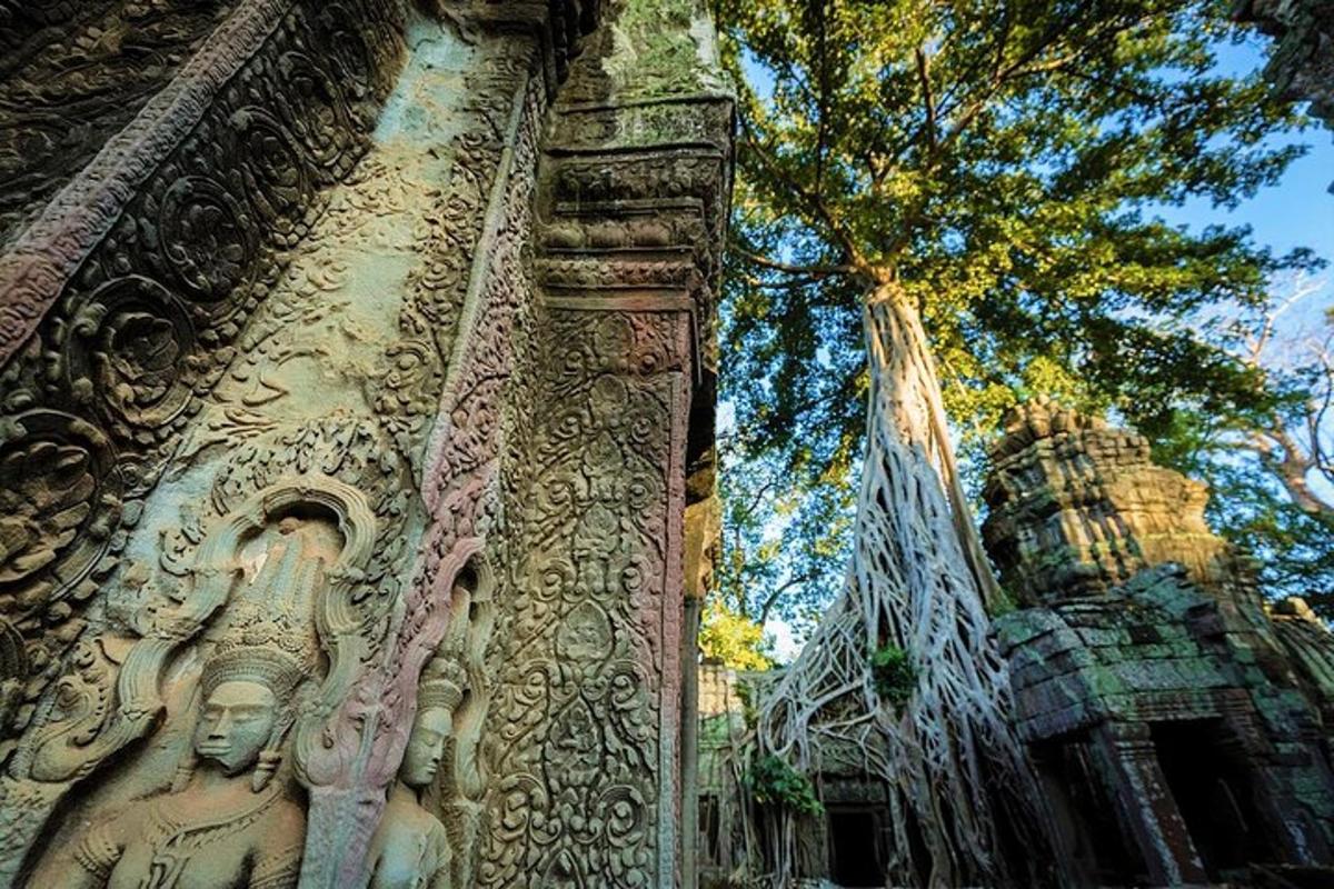 un edifici amb un arbre al davant