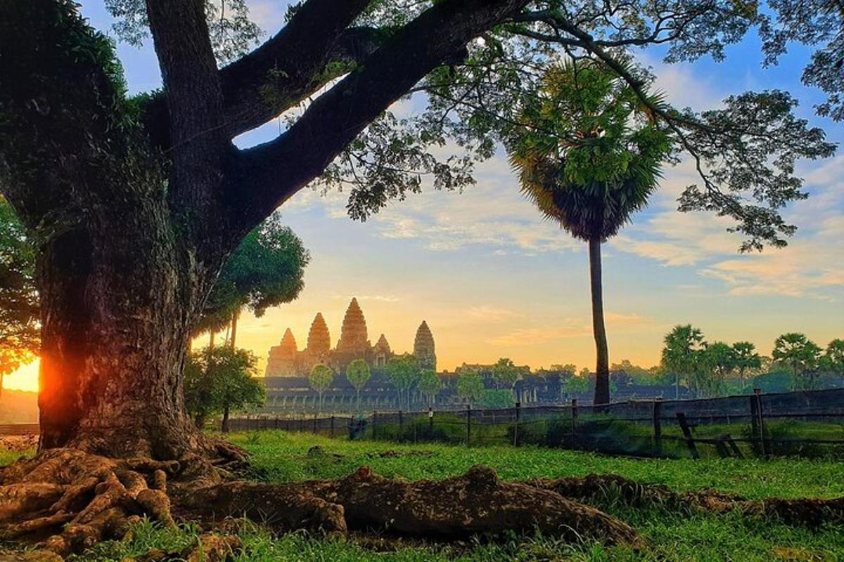 a tree in a field with a temple in the background