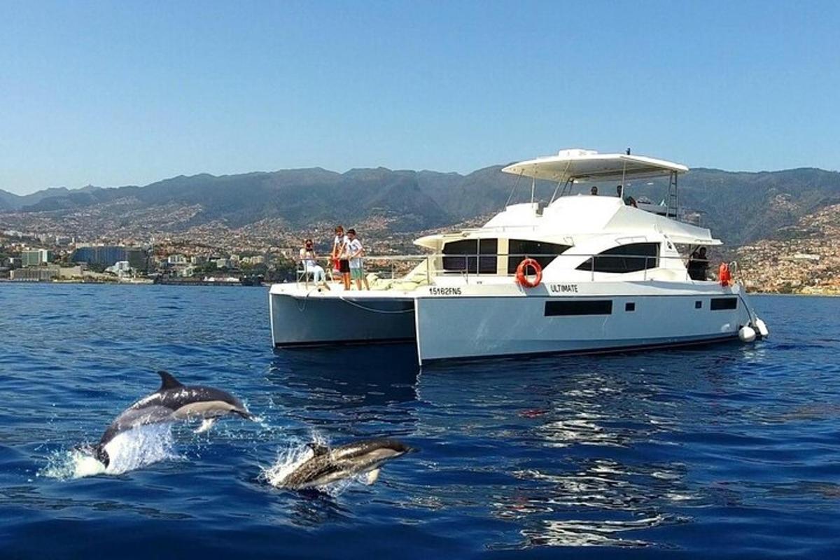 Φωτογραφία αξιοθέατου 1