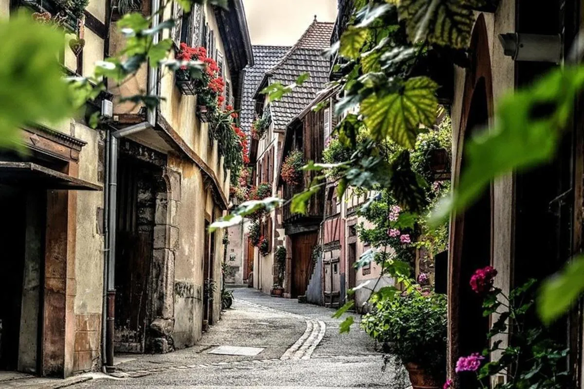 Visite privée à pied de Colmar avec un guide professionnel – photo 5