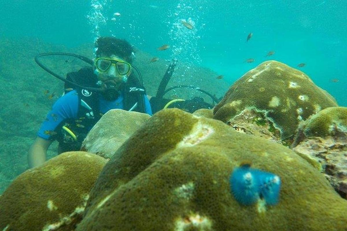 Fotografia da atração 4