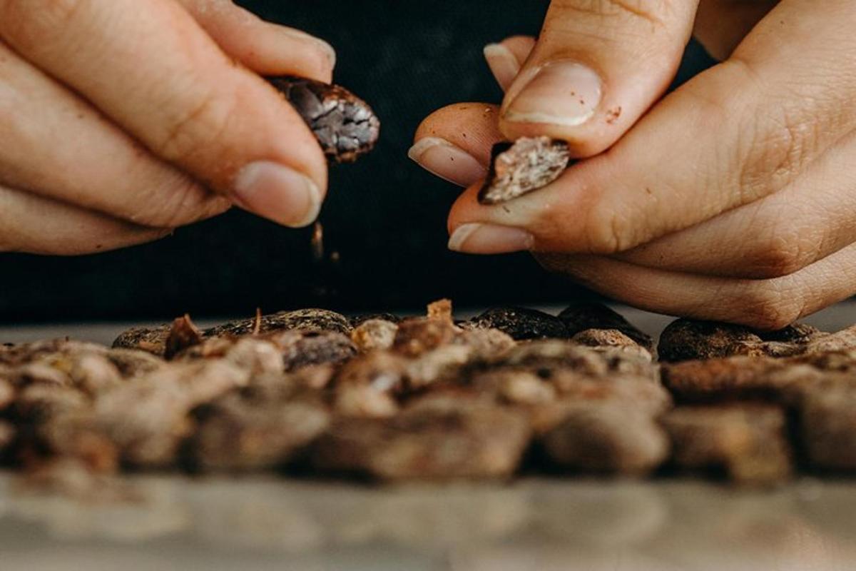 a person holding peanuts in their hands next to a pile of food