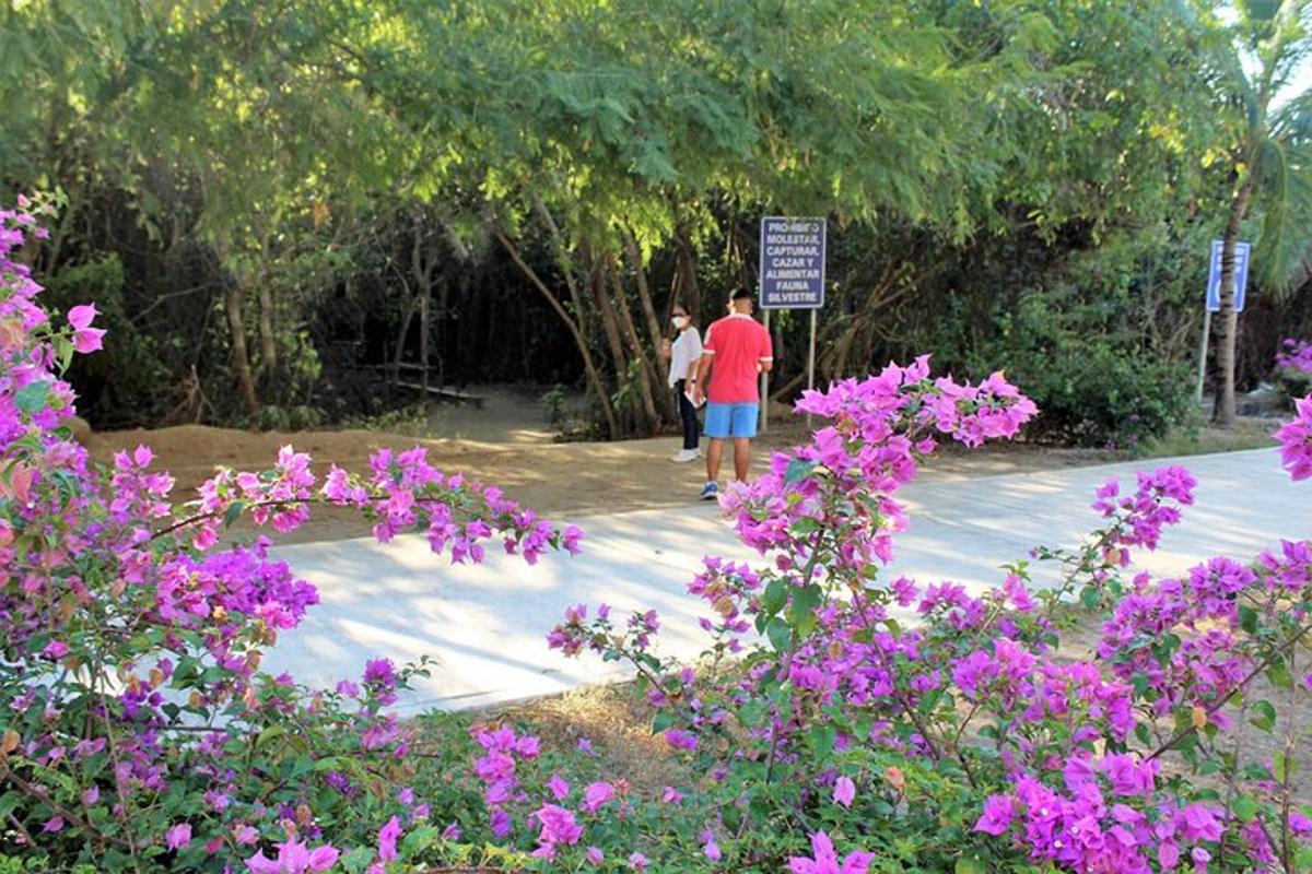 two people walking down a sidewalk with purple flowers