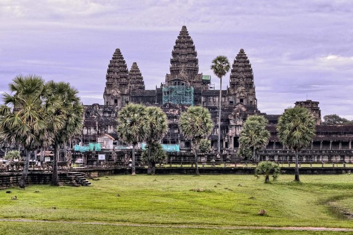 một góc nhìn của một tòa nhà có cây cọ ở phía trước