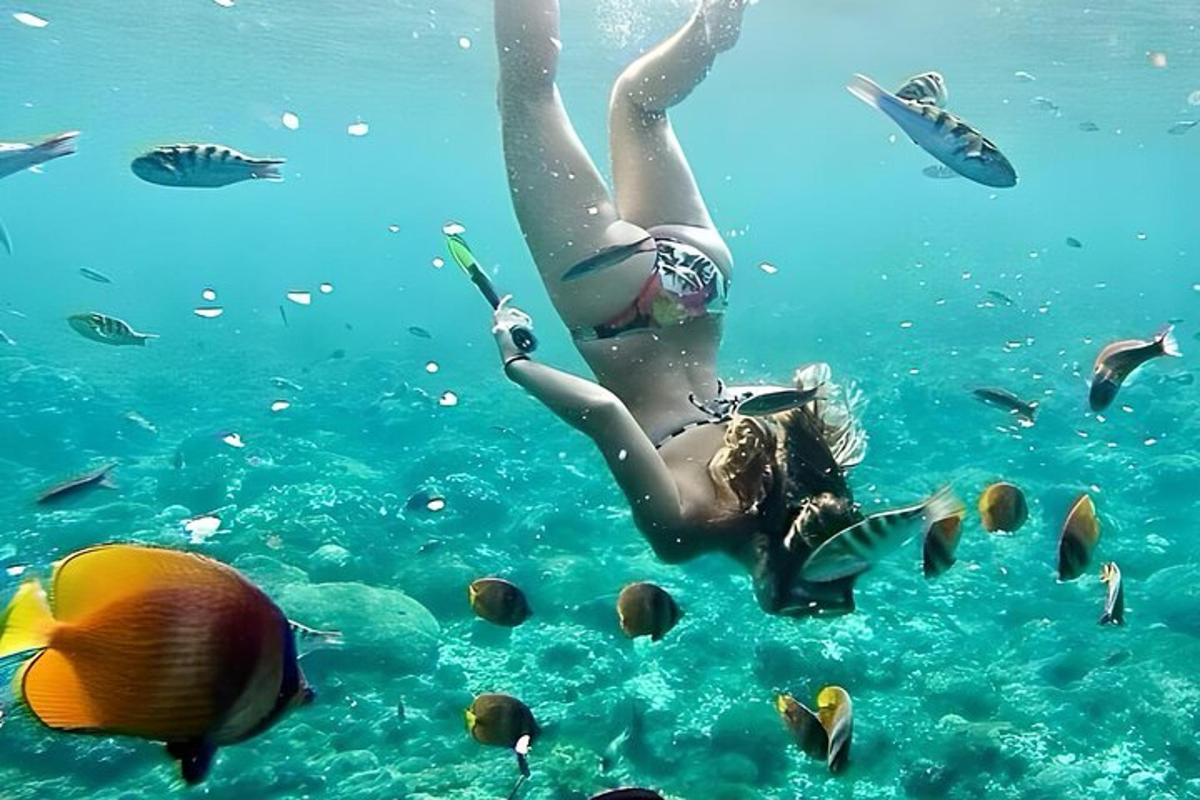 a woman is swimming in the water with fish