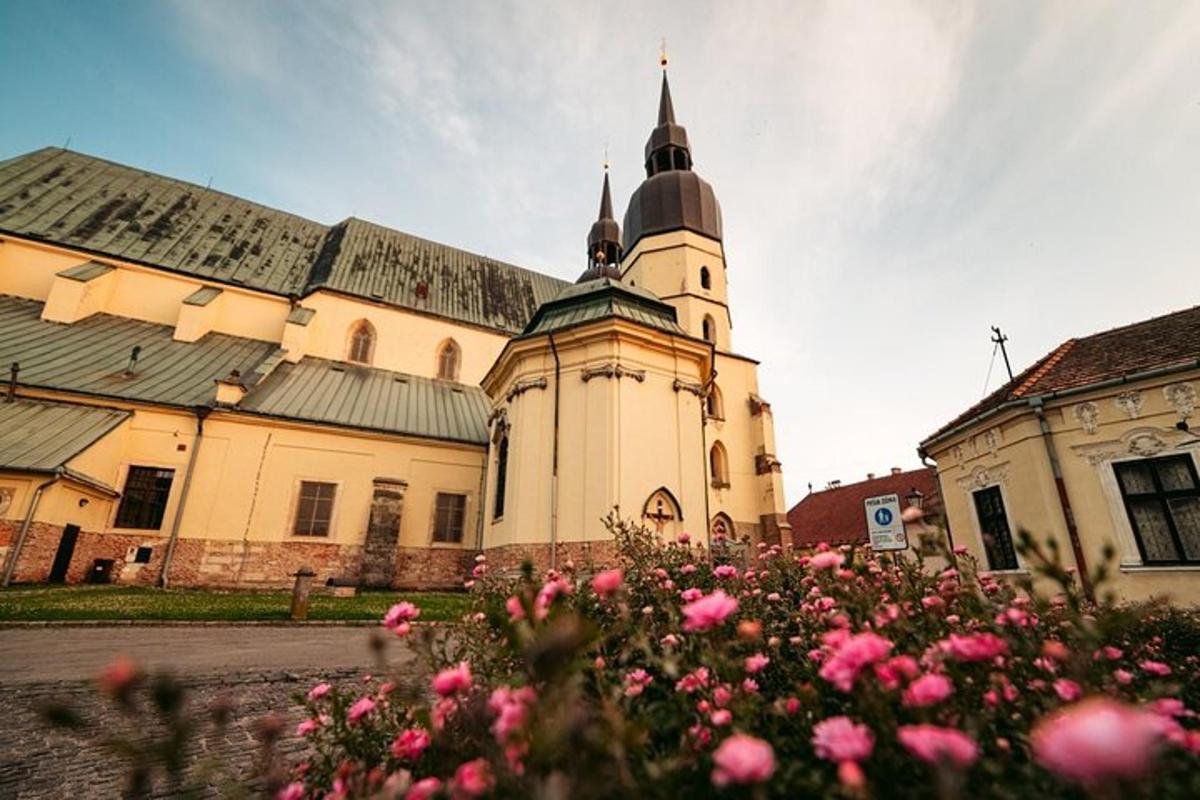 velika stavba z urnim stolpom in rožnatimi rožami