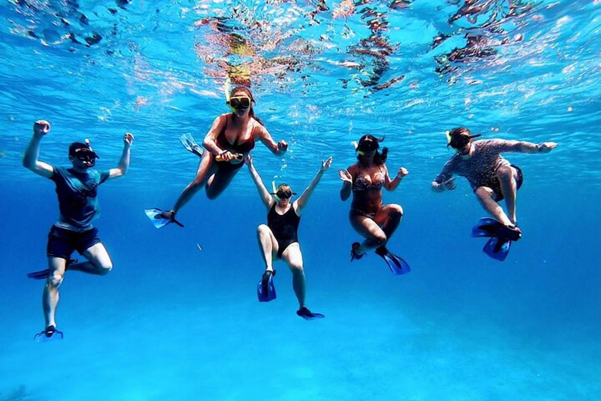 a group of people swimming in the water
