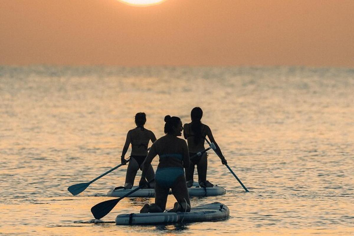 Lankytinos vietos ar pramogos nuotrauka numeris 7