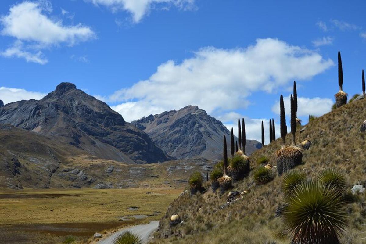 7 foto atraksi wisata