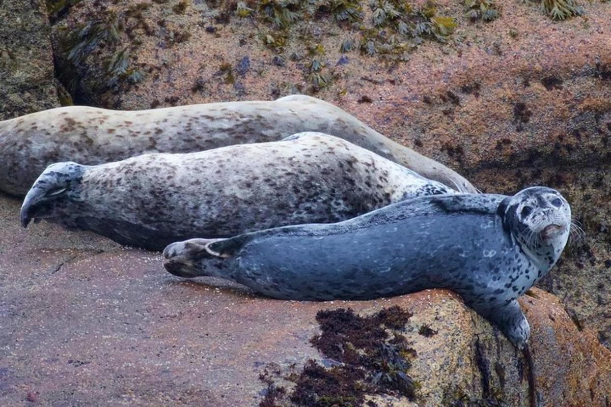 2枚目の観光スポット・アクティビティの写真