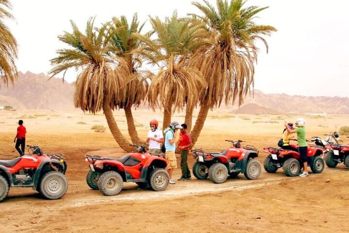 un gruppo di persone in piedi intorno a quad e palme