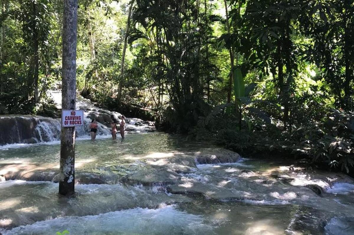 ein Schild mitten in einem Bach in einem Wald