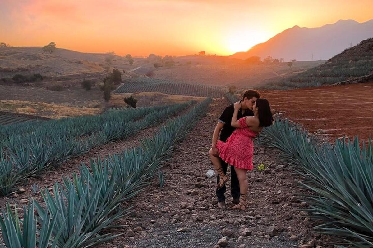 un uomo e una donna che si baciano in un campo al tramonto