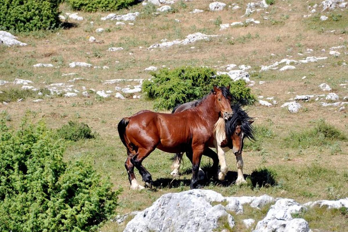 Fotografie atrakce č. 6