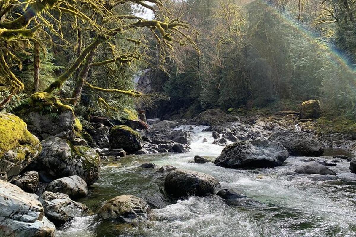 a river with rocks and a rainbow in the background
