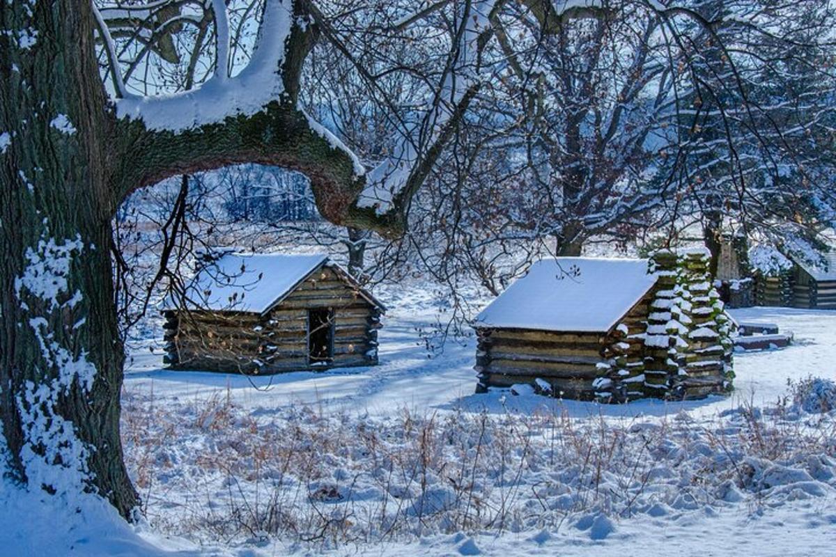 Зображення №7 цього варіанта дозвілля