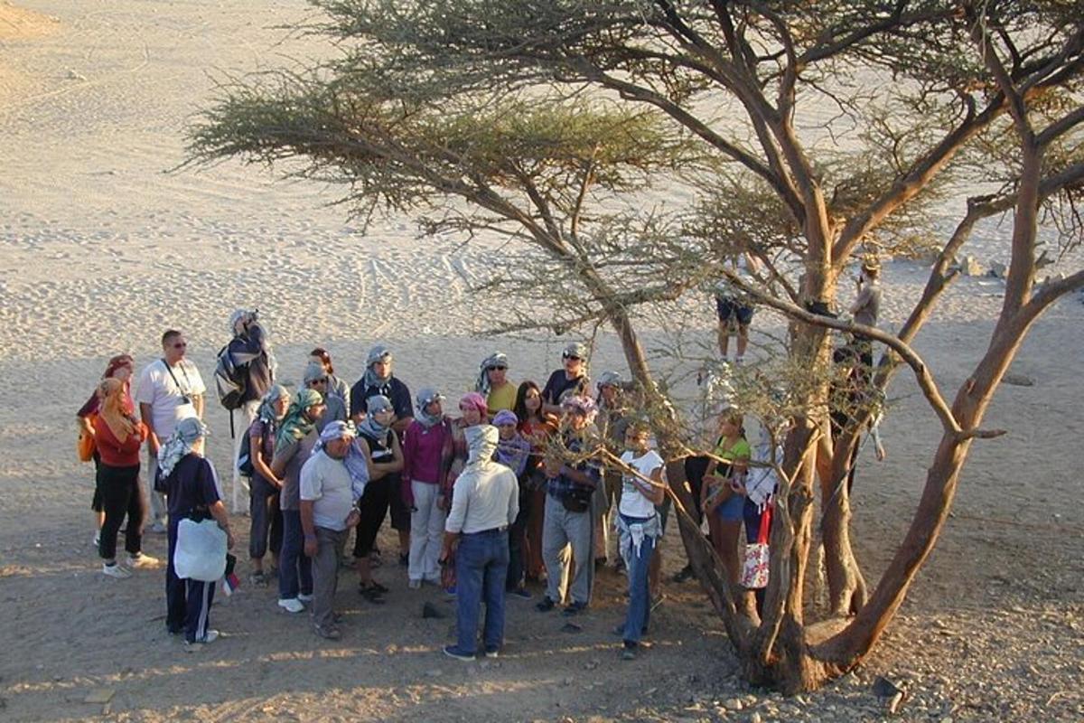 un gruppo di persone in piedi accanto a un albero
