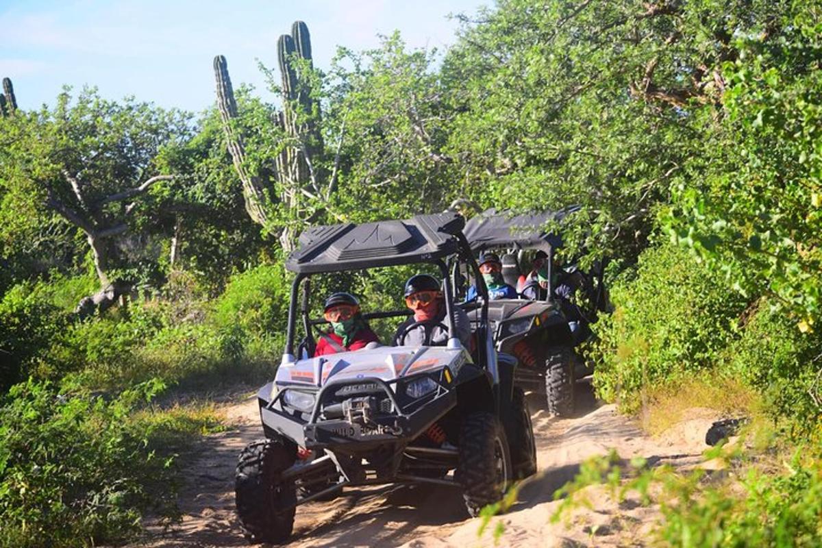 un gruppo di persone su un quad su una strada sterrata