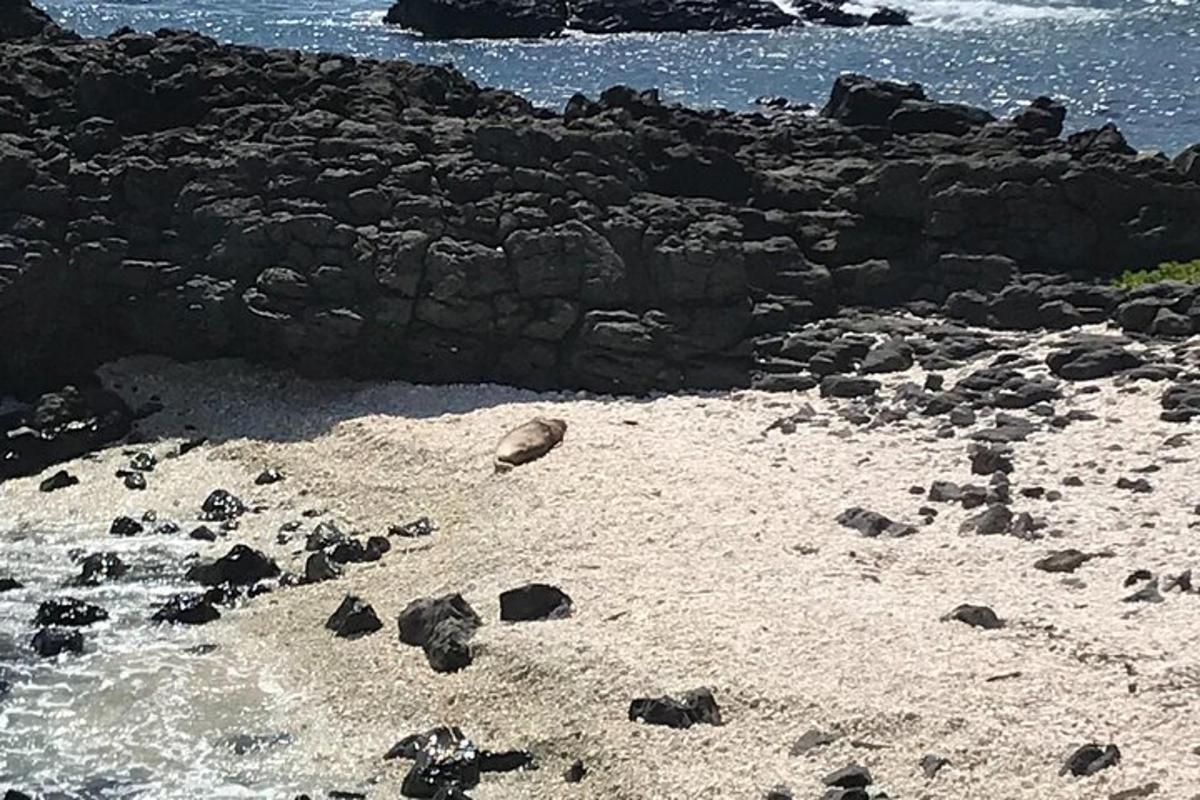 una spiaggia rocciosa con una grande roccia