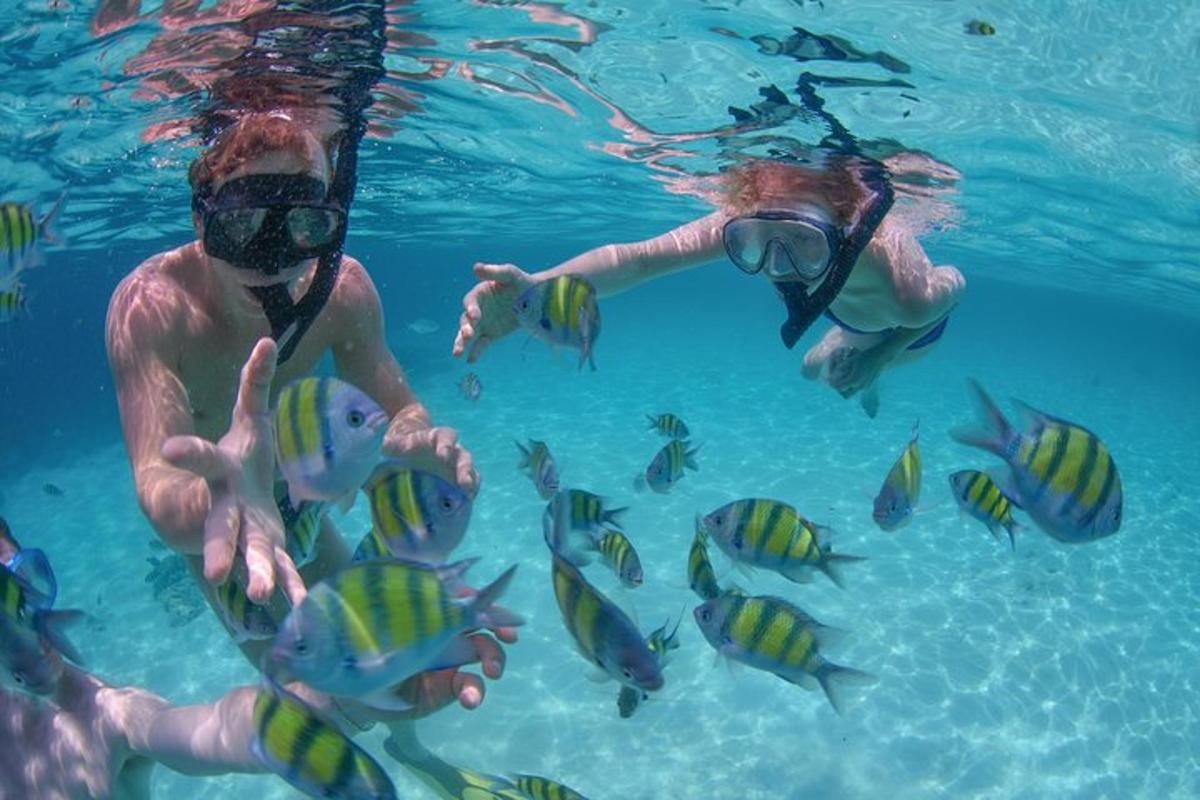 due persone che nuotano nell'acqua con i pesci