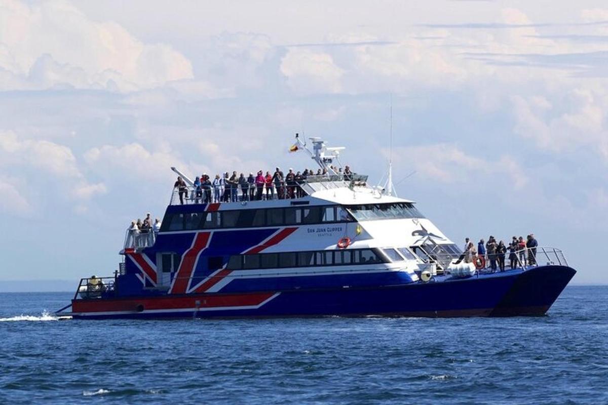 un grup de persones en un vaixell a l'oceà