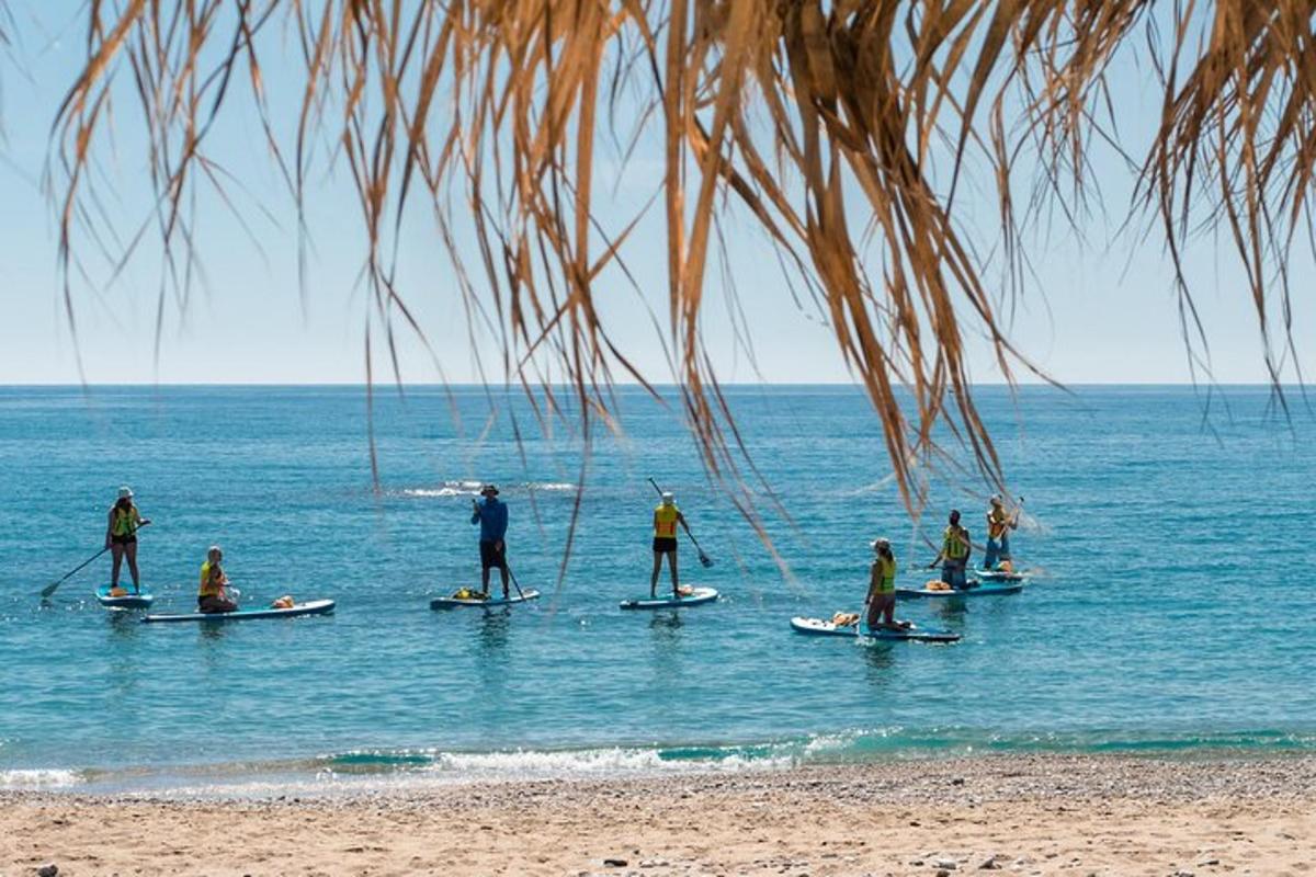 un gruppo di persone su tavole da paddle nell'oceano