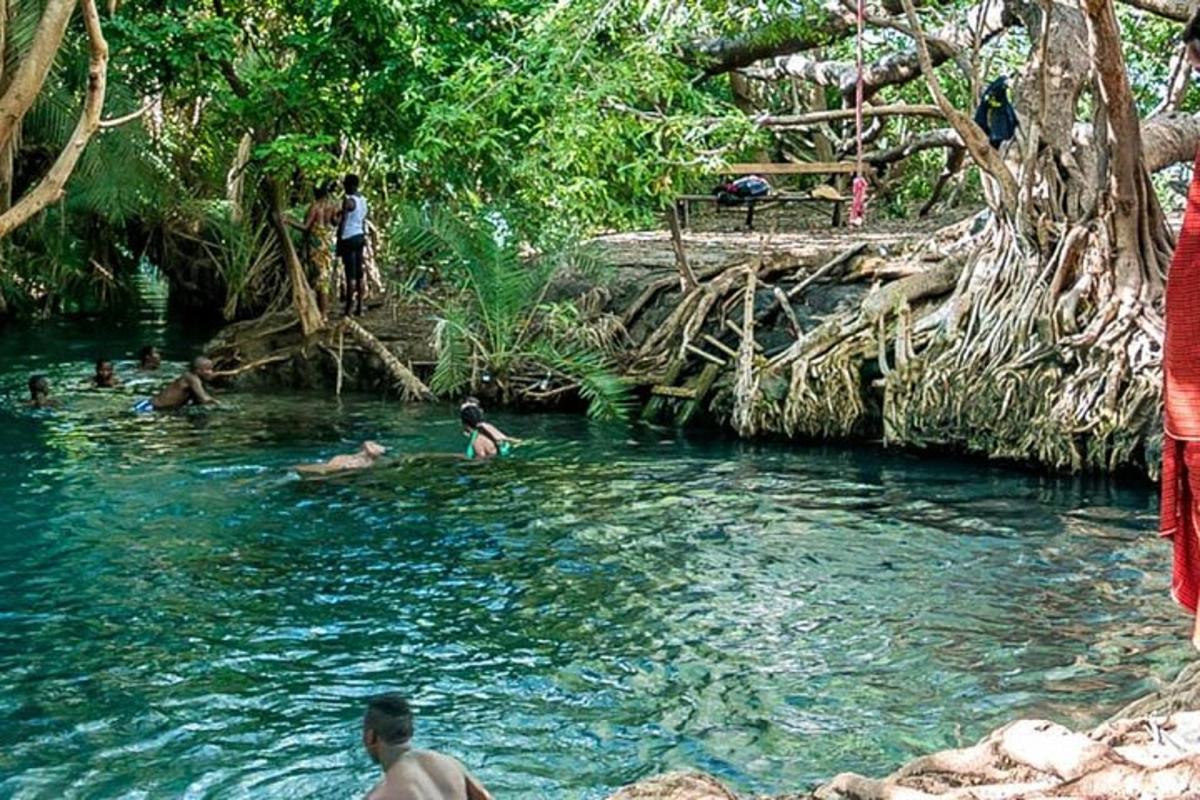 Lankytinos vietos ar pramogos nuotrauka numeris 7