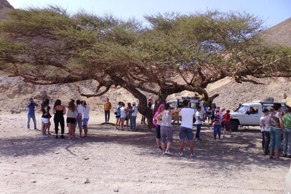 eine Gruppe von Menschen steht unter einem Baum