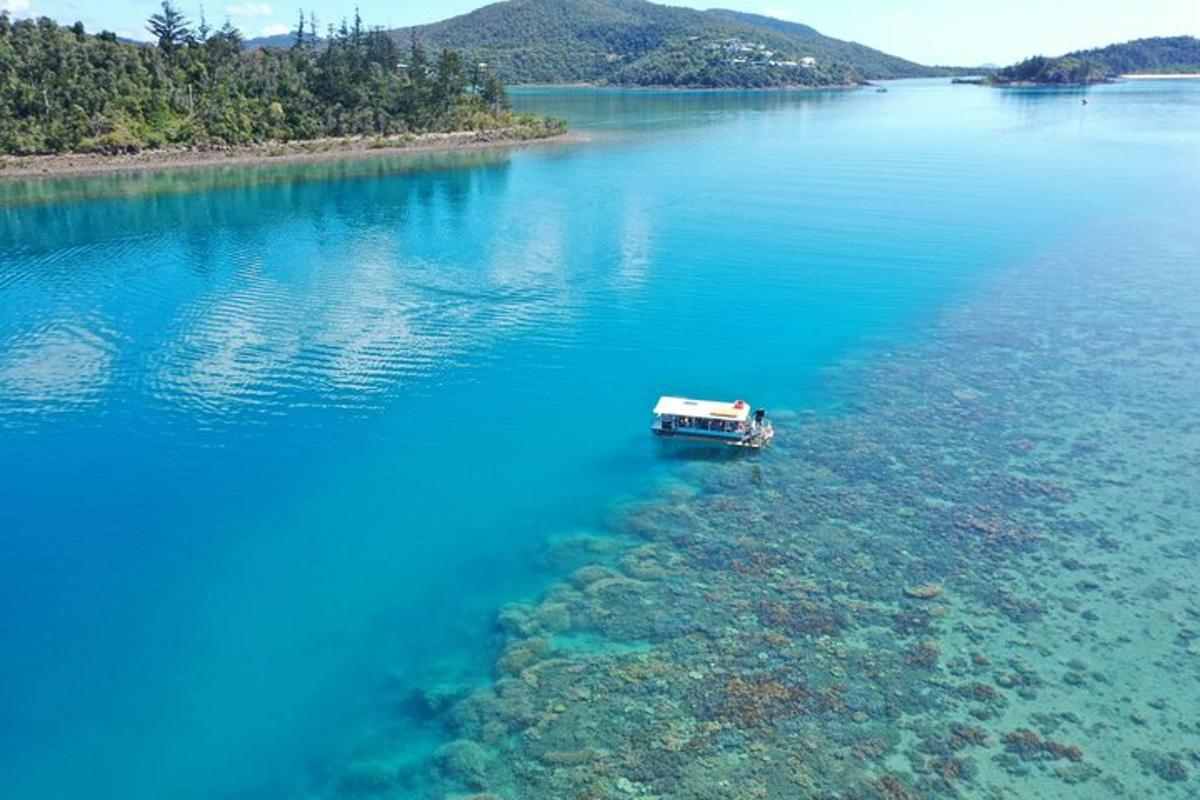 Lankytinos vietos ar pramogos nuotrauka numeris 3