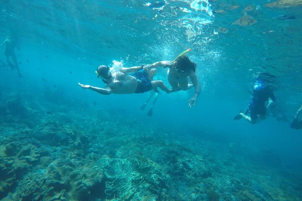 dve osebi plavata v vodi v oceanu